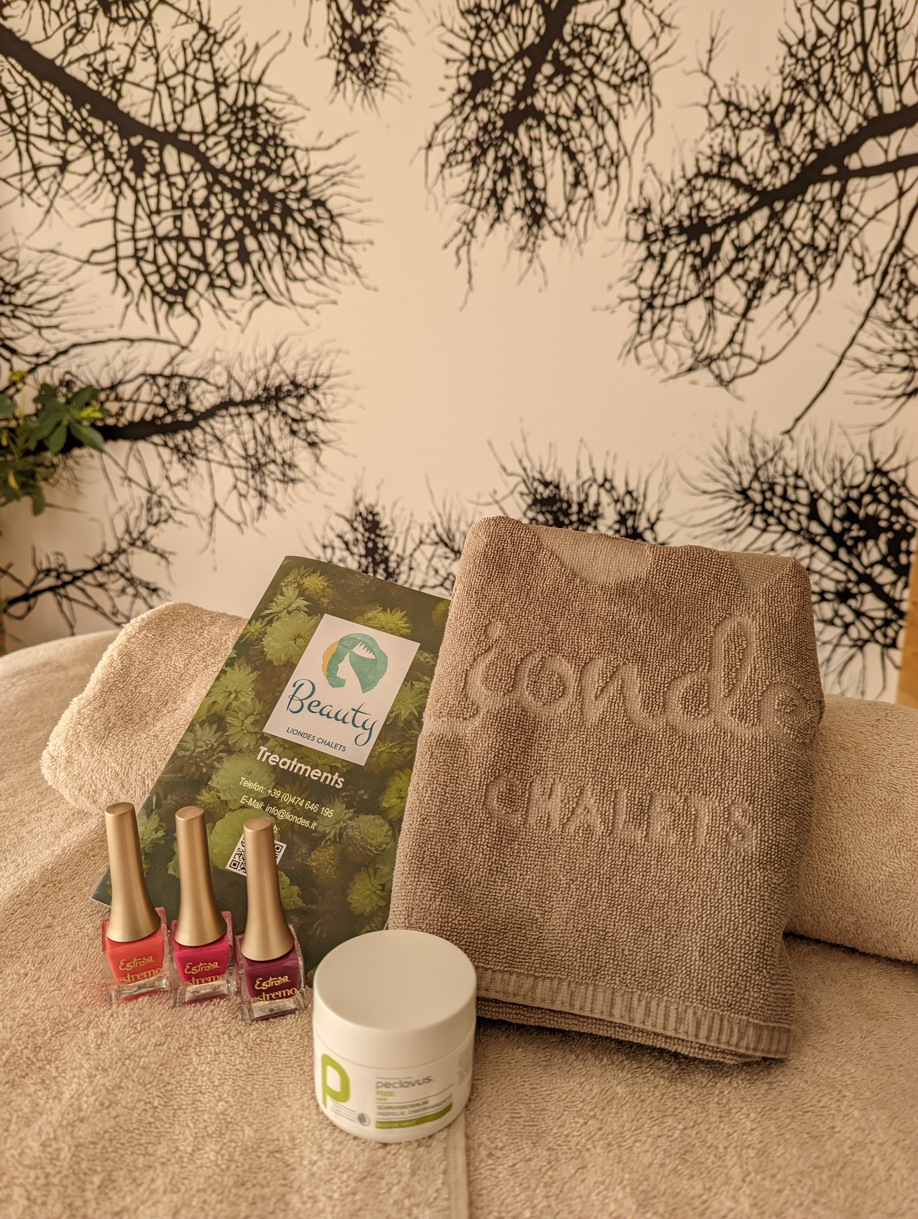 Chalet: Liondes Chalets