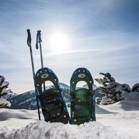 Chalet: Schneeschuhwanderungen können vom Chalet aus gemacht werden - Luxuschalet Bischofer-Bergwelt