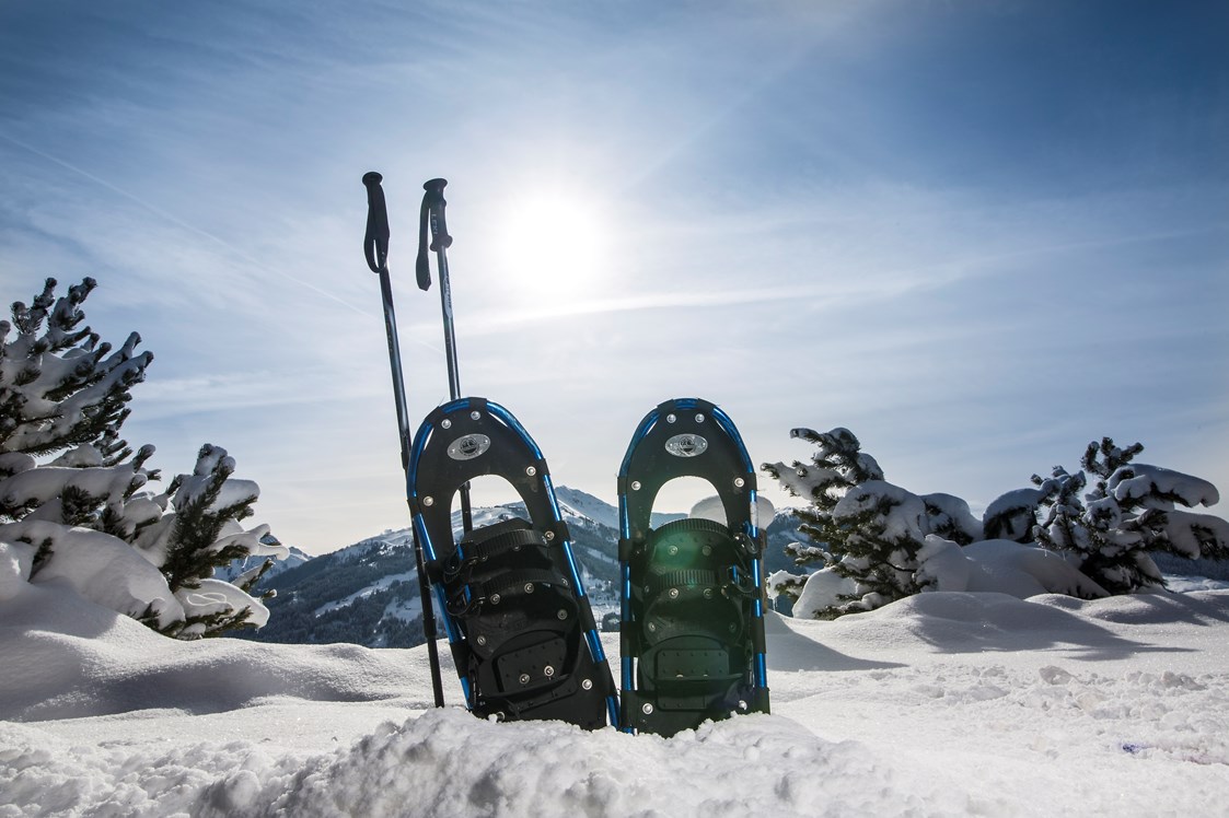 Chalet: Schneeschuhwanderungen können vom Chalet aus gemacht werden - Luxuschalet Bischofer-Bergwelt