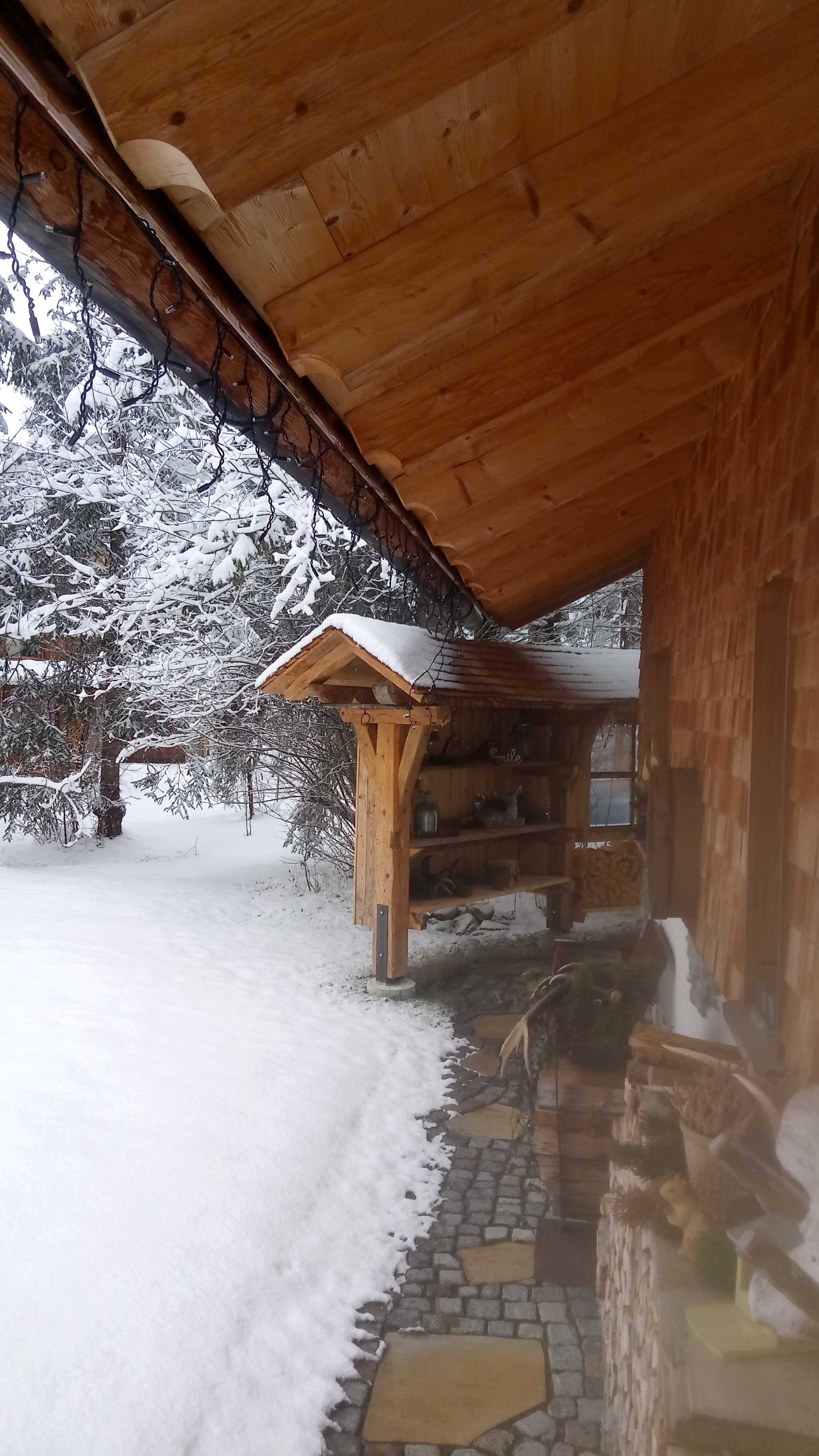Chalet: Almhütten Moll am Haldensee