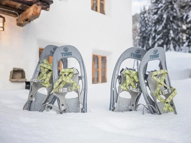 Chalet: Tannhäuser Mountain Chalet