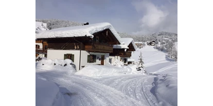 Hüttendorf - Chaletgröße: 4 - 6 Personen - Pinzgau - Winter - Feriendorf Stallergut