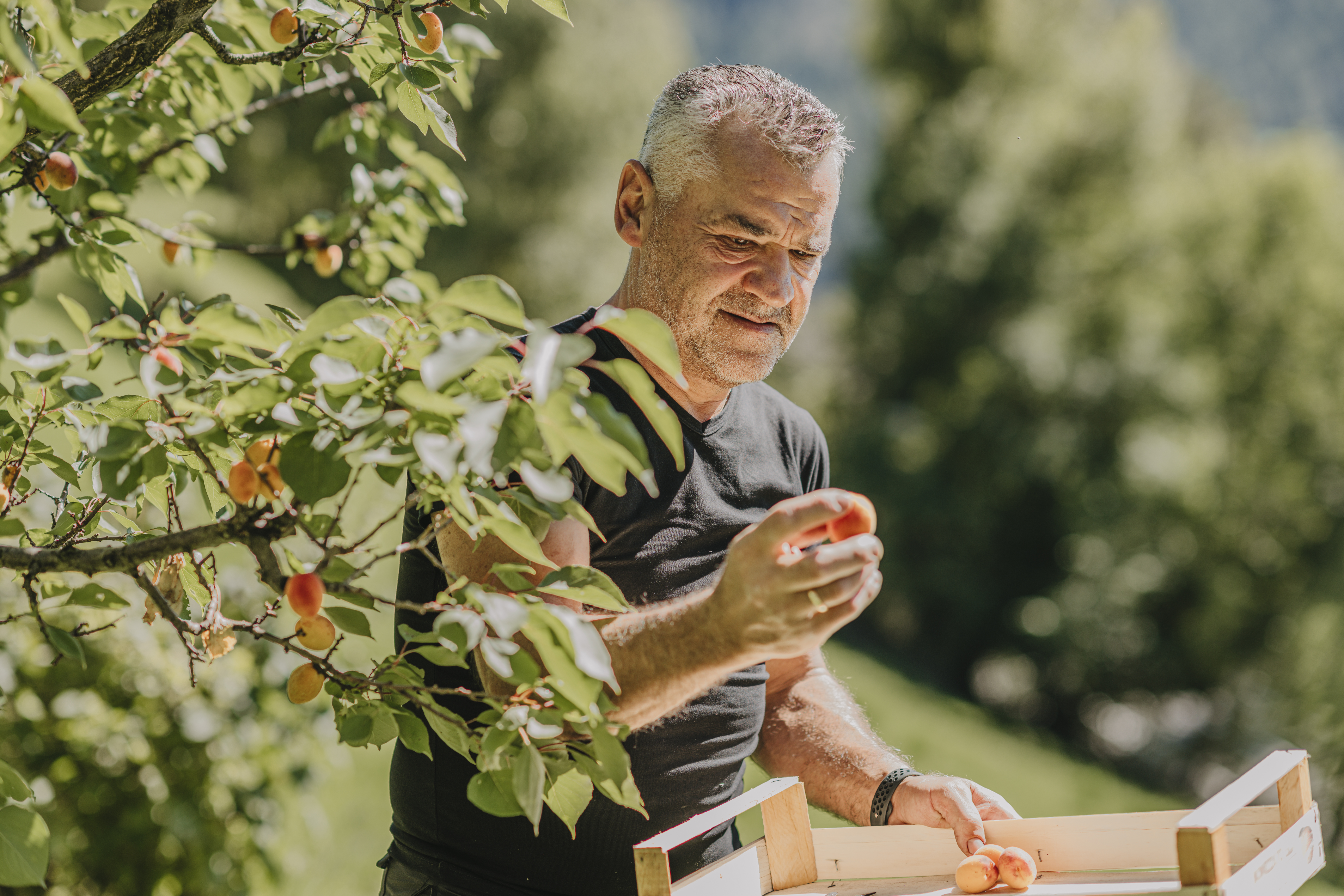 Chalet: Chalet Resort - ZU KIRCHWIES