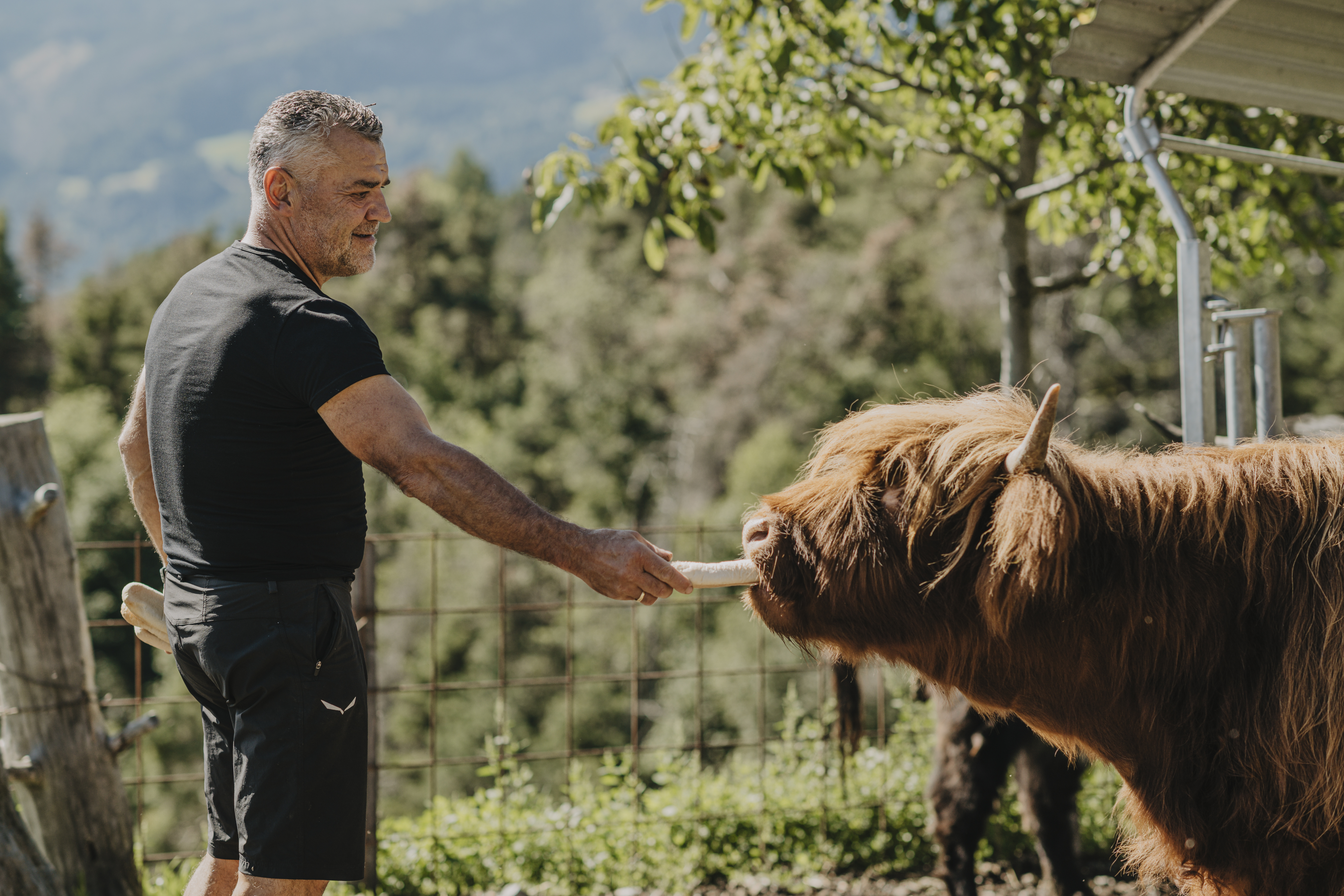 Chalet: Chalet Resort - ZU KIRCHWIES