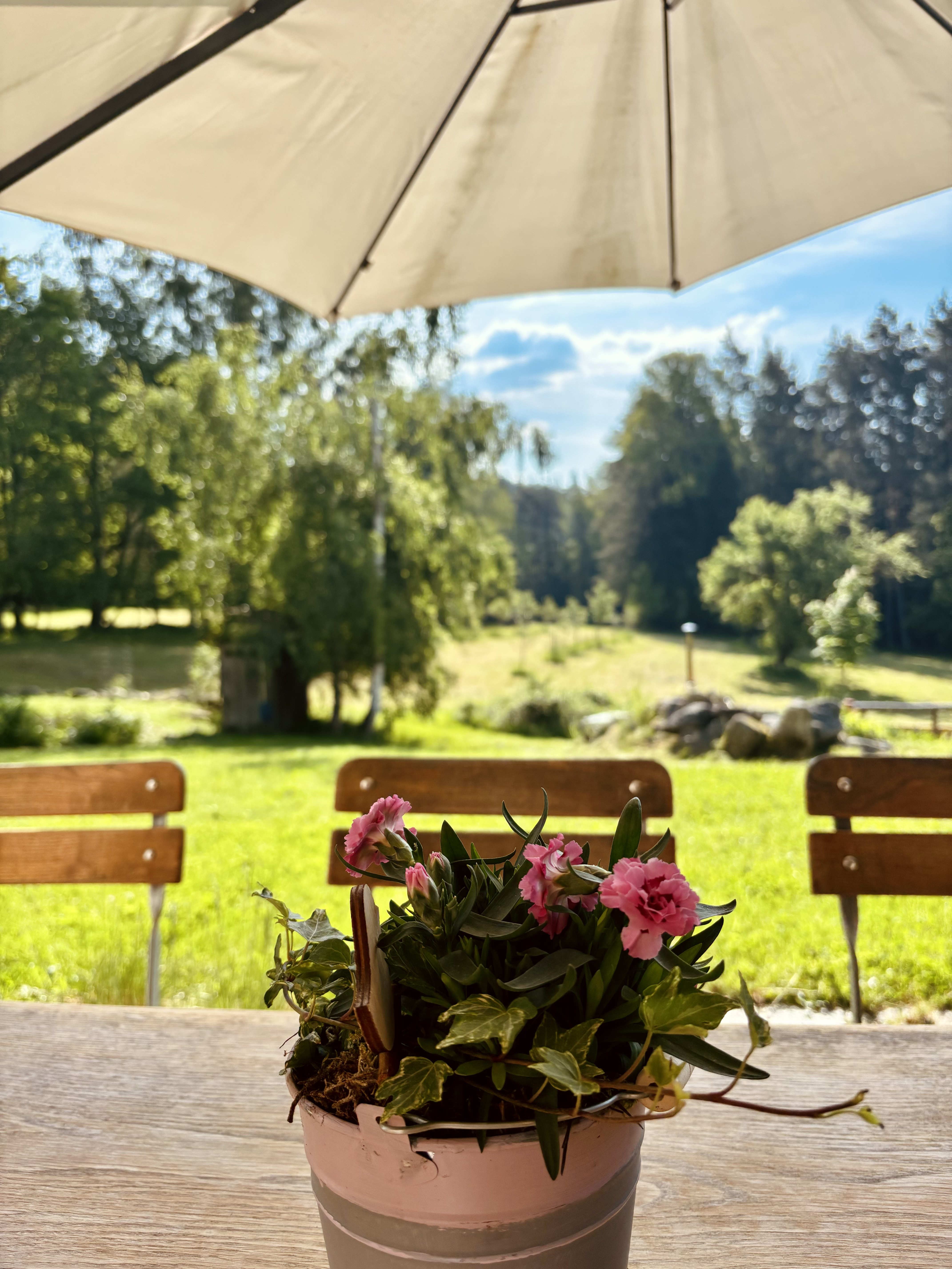 Chalet: Chalet Dürrfeld - Platz für gute Freunde