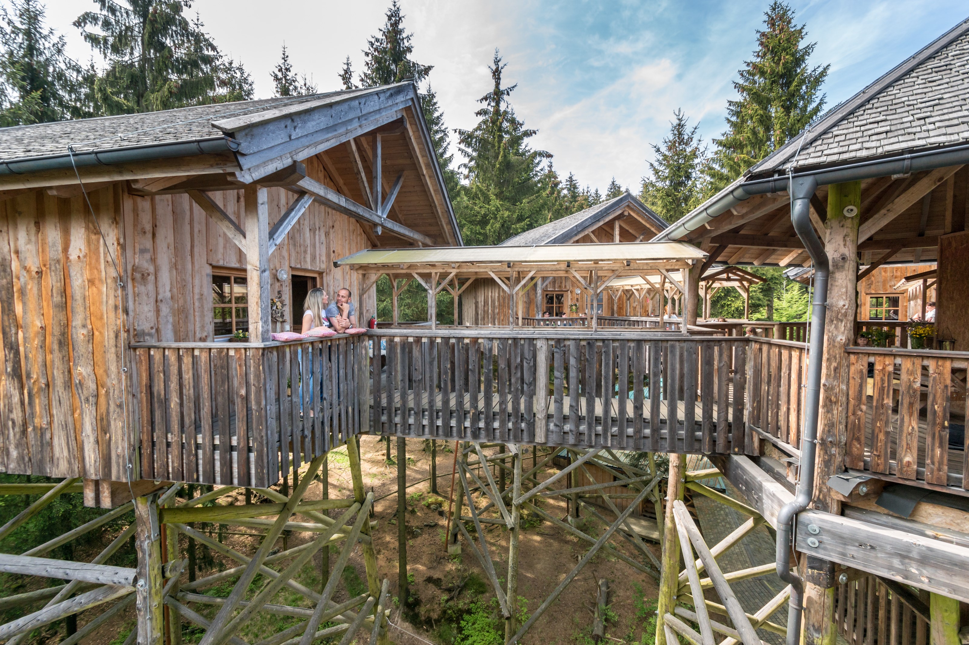 Chalet: Baumhotel Apartment außen - Baumhotels WaldEntdeckerWelt - Außen