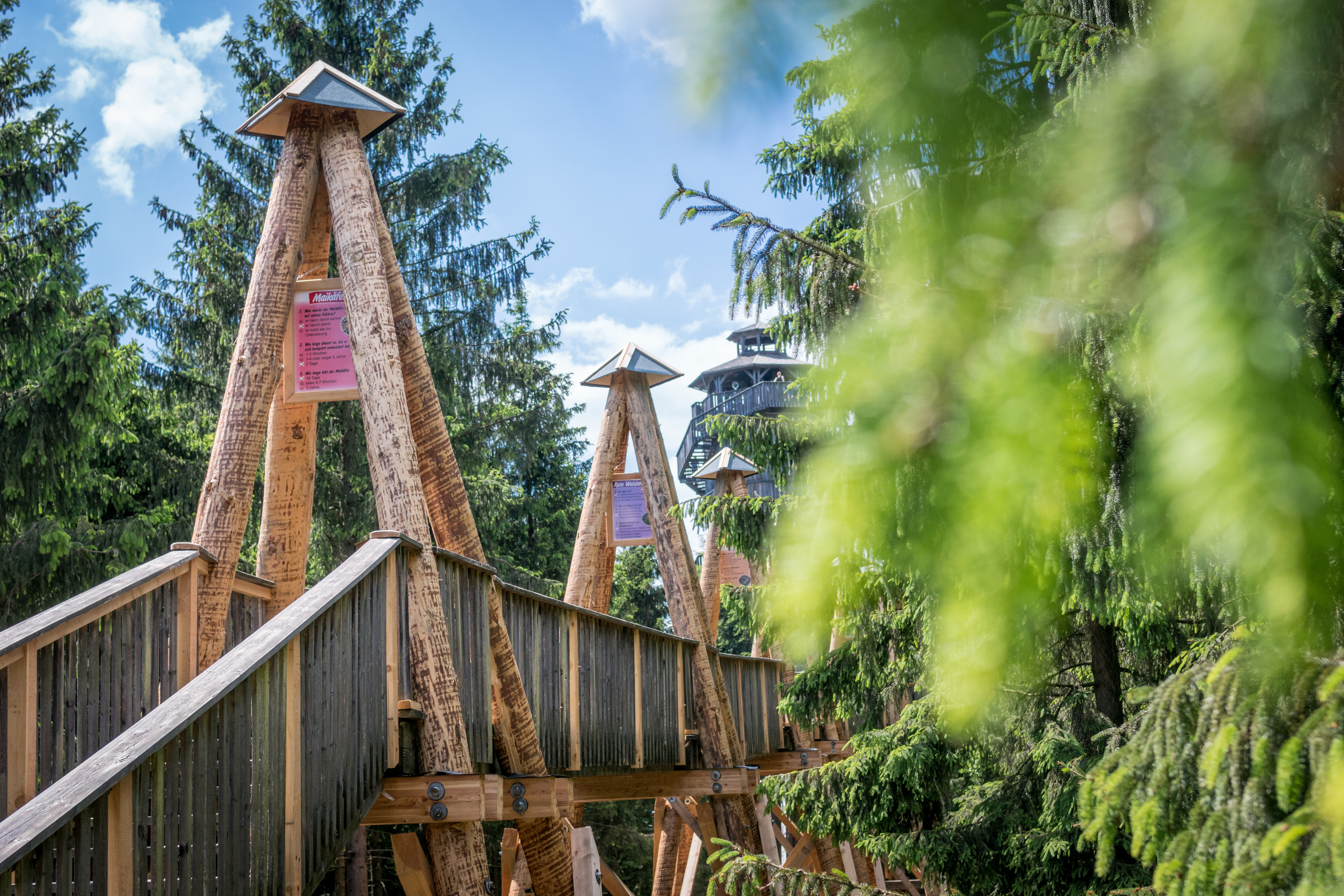 Chalet: Baumkronenweg - Baumhotels WaldEntdeckerWelt - Außen