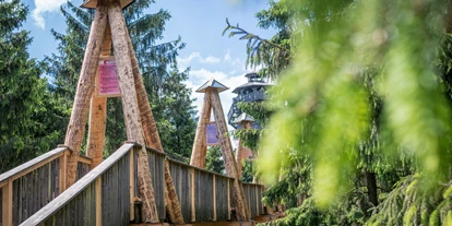 Hüttendorf - Alleinlage - Oberösterreich - Baumkronenweg - Baumkronenweg Baumhotels