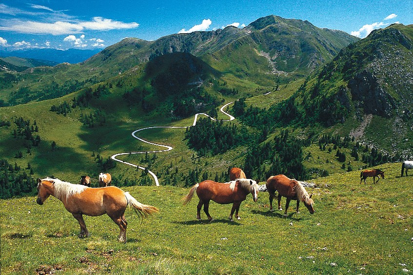 Smileys Fluss Chalet Ausflugsziele Nockalmstraße 