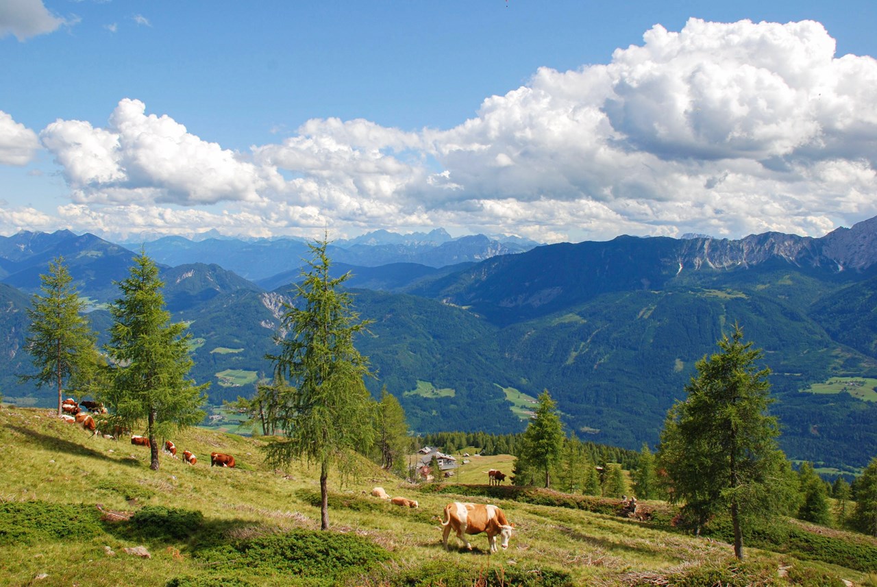 Glocknerhaus Naturdomizil Ausflugsziele Emberger Alm