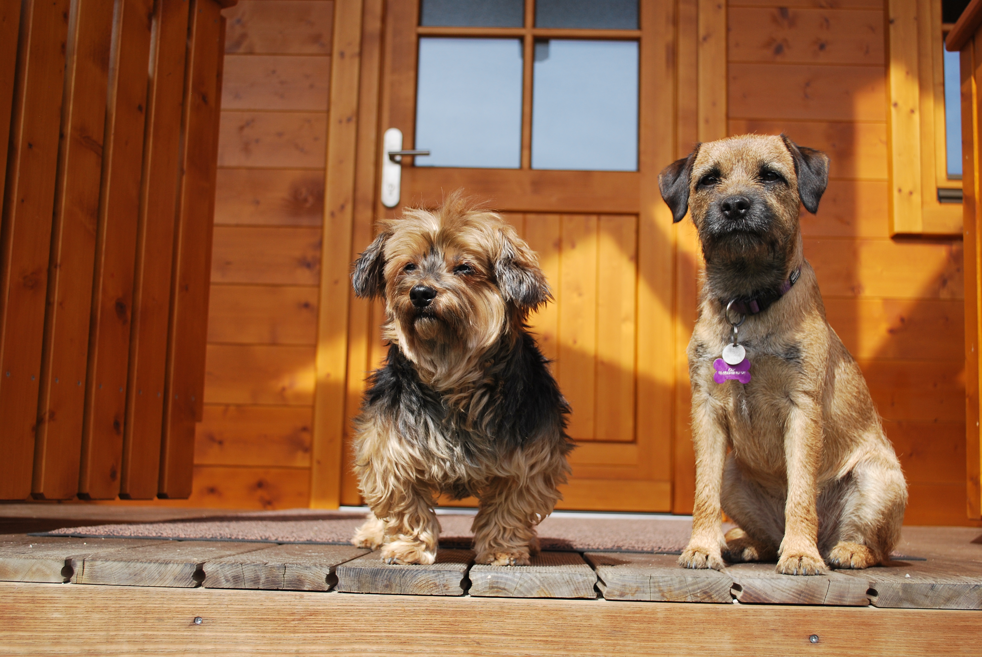 Hüttendorf - PLZ 5672 (Österreich) - auf der verschliessbaren Veranda - Chaletdorf ZellerSee