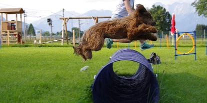 Hüttendorf - Chaletgröße: 4 - 6 Personen - Pinzgau - Agility - Chaletdorf ZellerSee