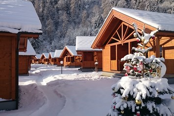 Chalet: Winter - Feriendorf Oberreit