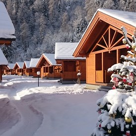 Chalet: Winter - Feriendorf Oberreit