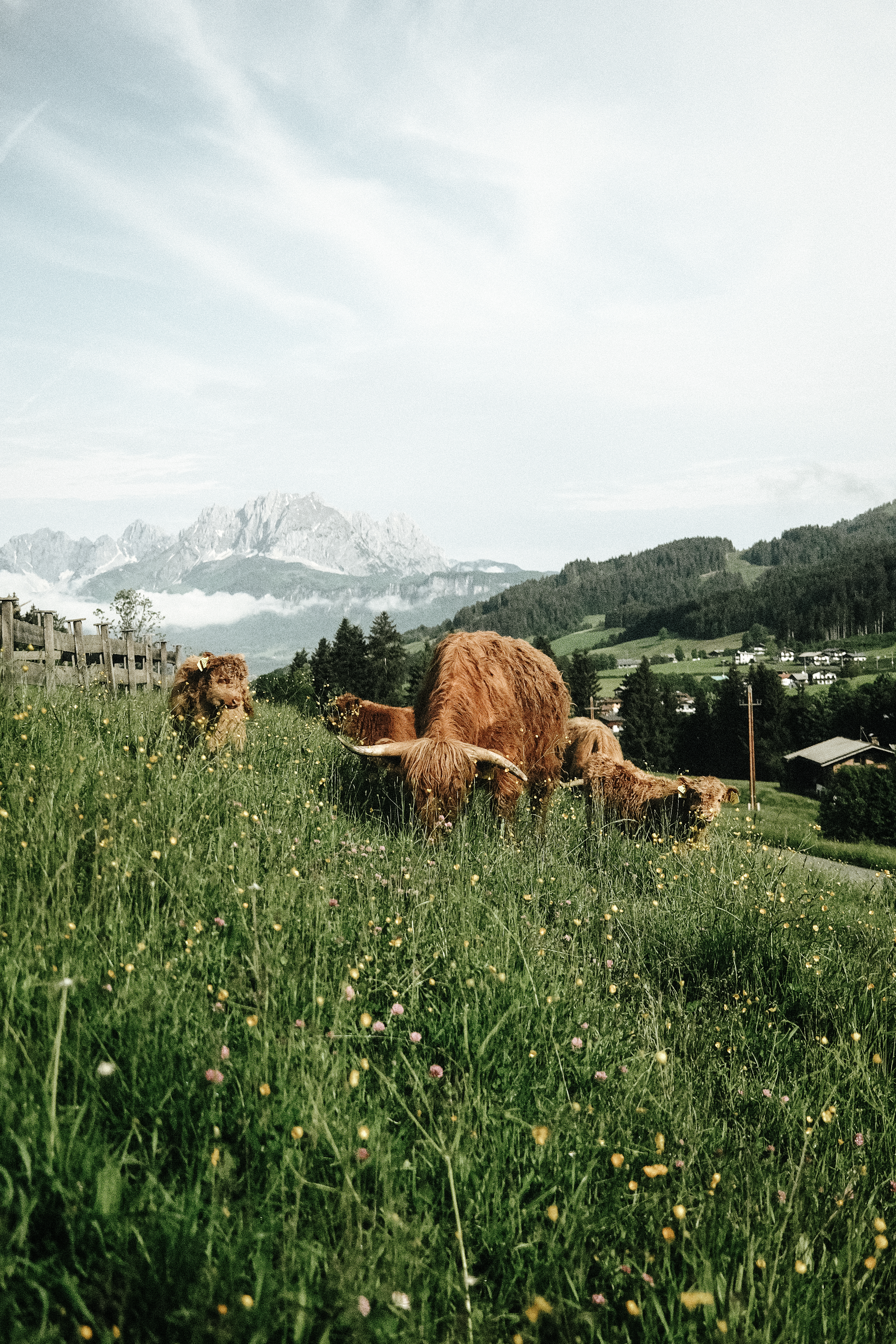 Chalet: Grosslehen **** Hotel & Chalets