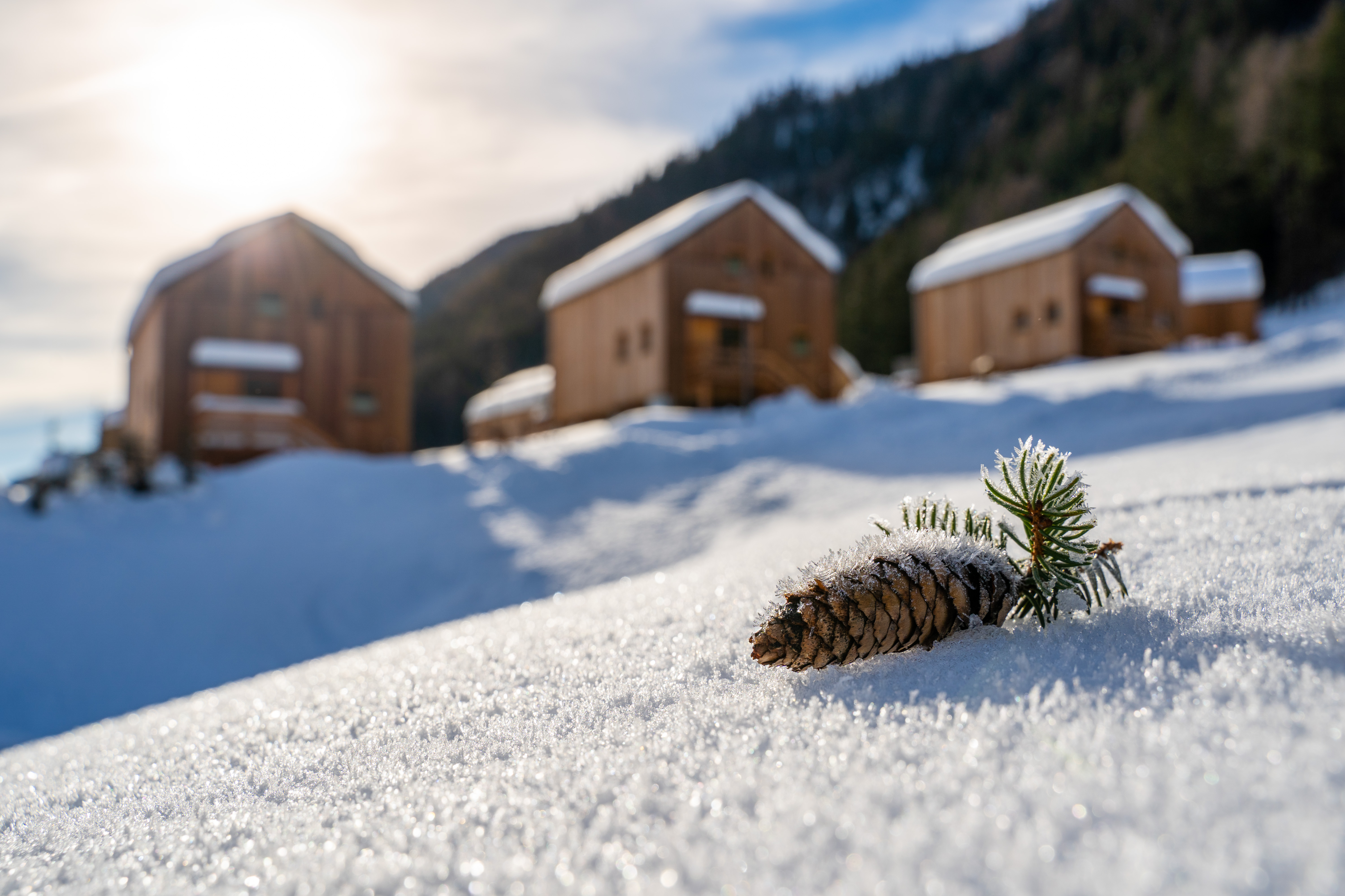 Chalet: HOCHoben camp & explore