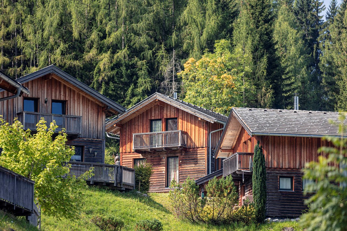 Chalet: Alpendorf Dachstein West by ALPS RESORTS