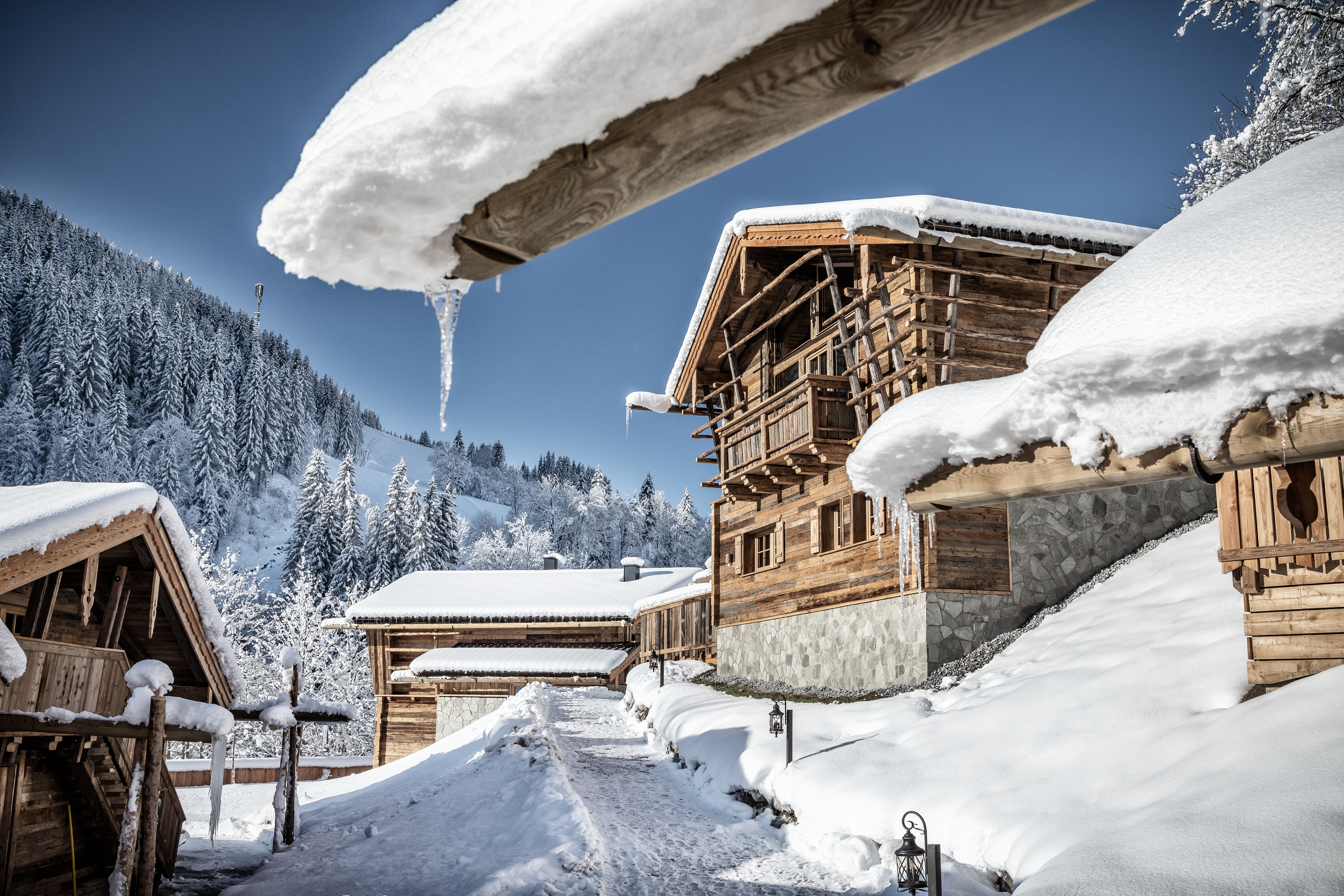 Chalet: Bergdorf Prechtlgut