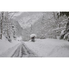 Chalet: Winterstimmung - Waldwiesen-Hütte