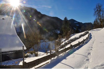 Chalet: Winter - Waldwiesen-Hütte