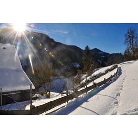 Chalet: Winter - Waldwiesen-Hütte