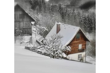 Chalet: Waldwiesen-Hütte