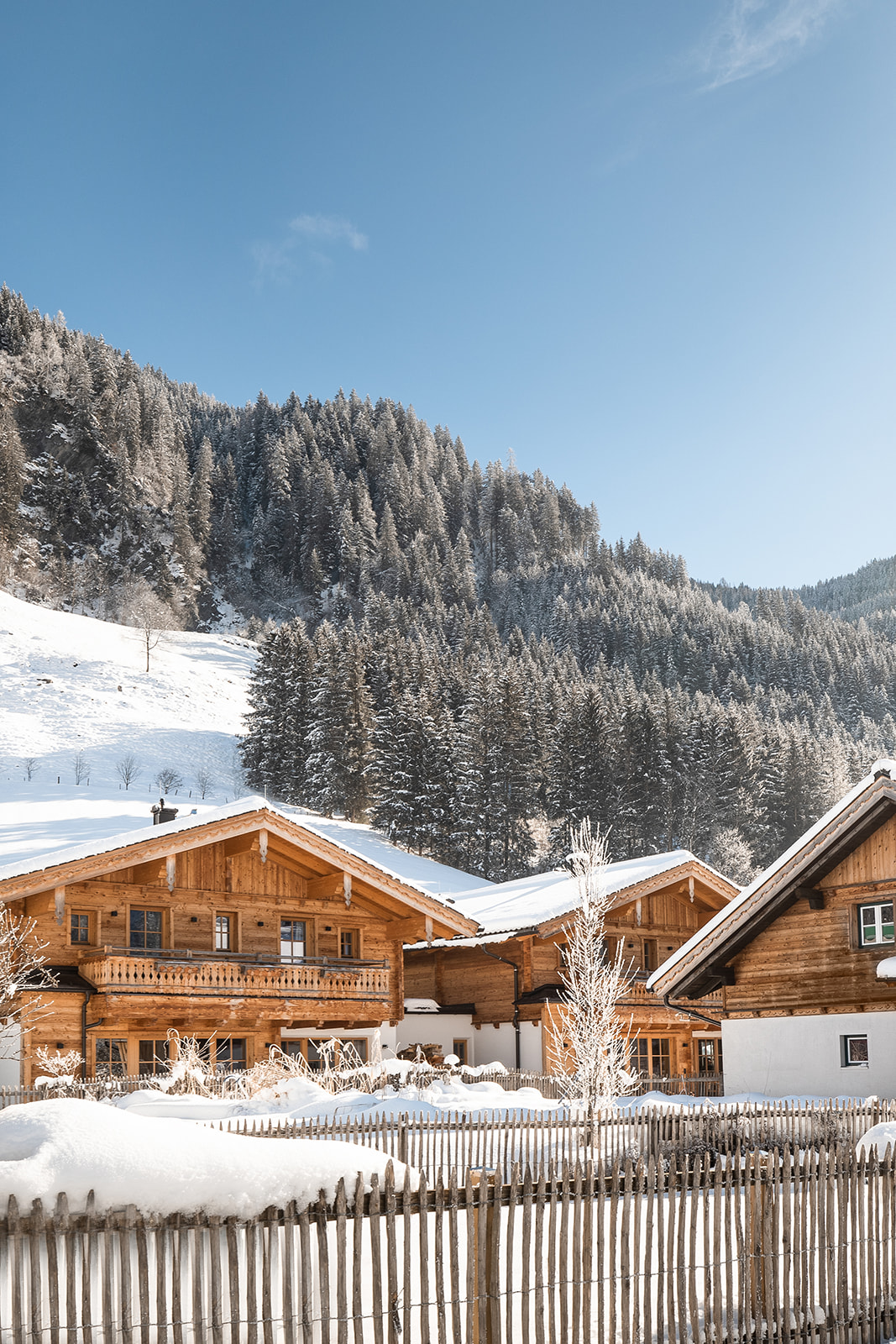 Birnbaum Chalets Hütten im Detail Chalet Fulseck