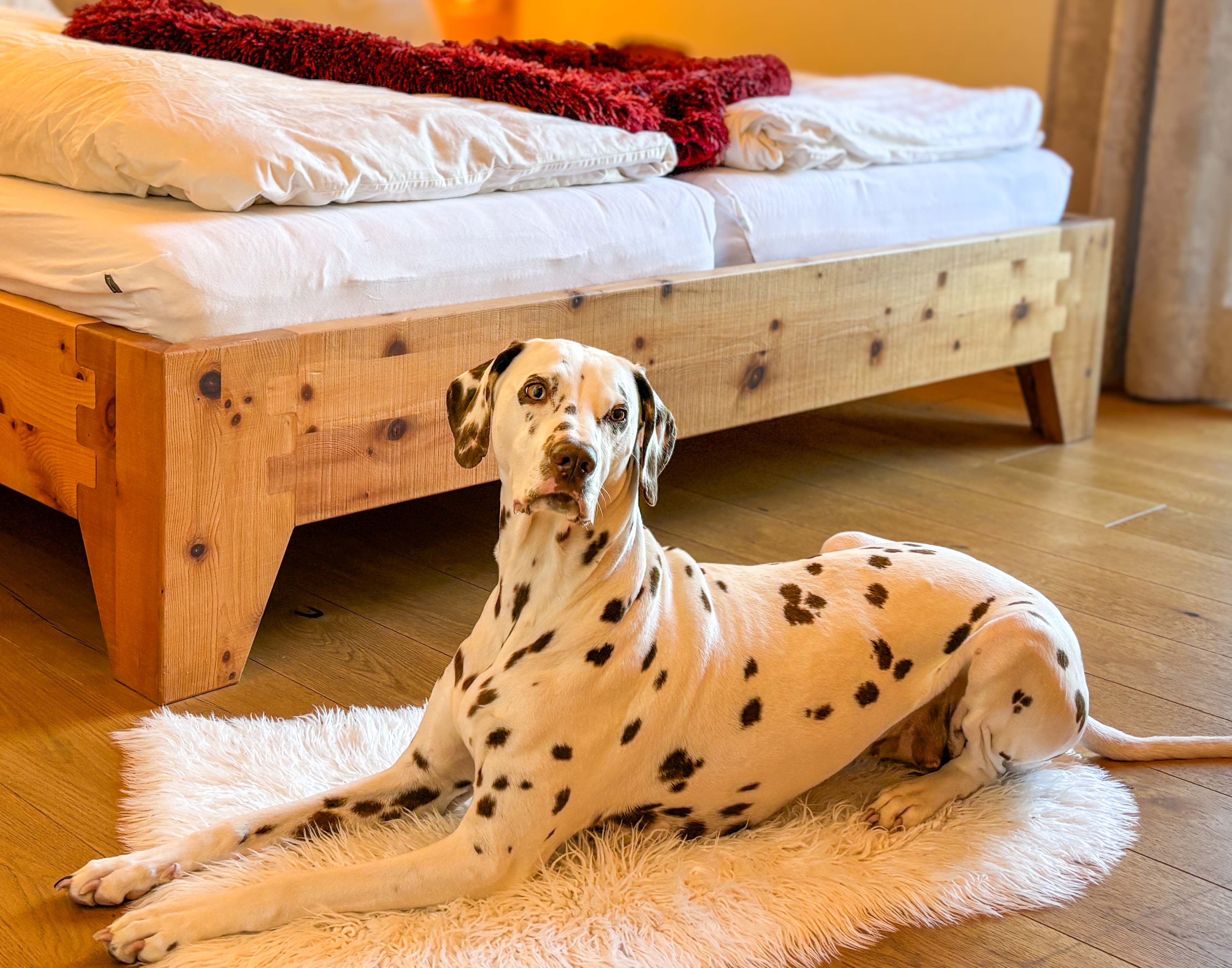 Hüttendorf - Niedernsill - Chaleturlaub mit Hund - Birnbaum Chalets