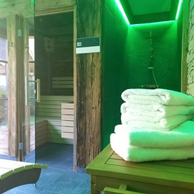 Chalet: Sauna in den Chalets Fulseck und Kreuzkogel - Birnbaum Chalets Grossarl