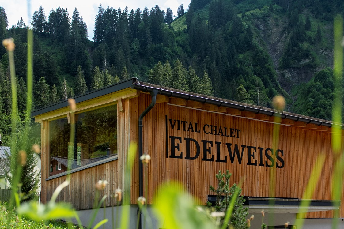 Chalet: Chalet EDELWEISS im Sommer
schickes Bergchalet für Familien oder Wellnesstage im Freundeskreis, bis 11 Personen - Berghaus Schröcken