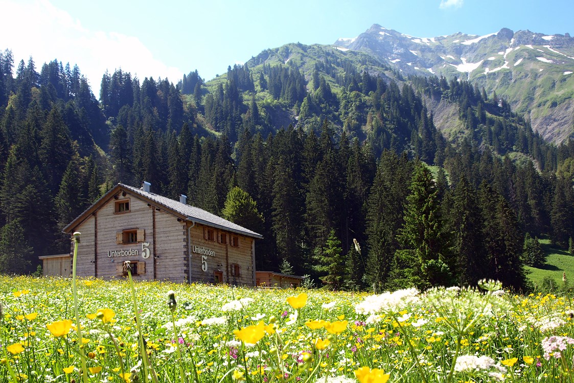 Chalet: Berghütte UNTERBODEN 5
Idyllisches Berghaus in Alleinlage in SChröcken-Unterboden, bis 16 Personen - Berghaus Schröcken