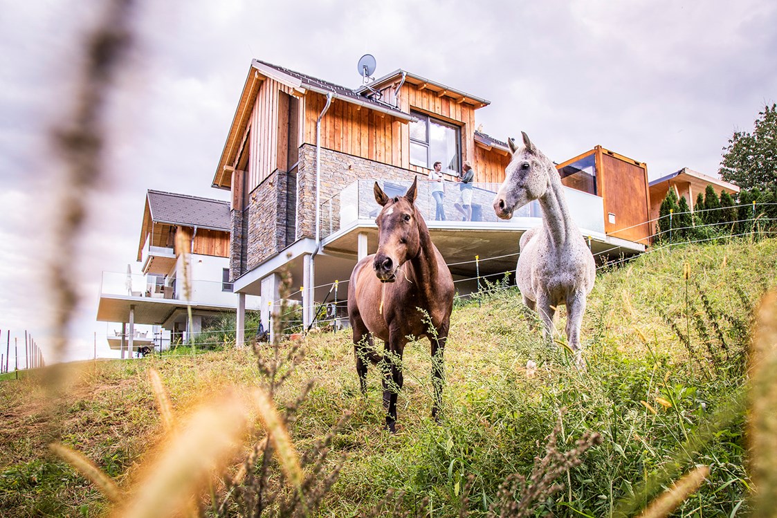 Chalet: Urlaub mit dem eigenen Pferd - Golden Hill Country Chalets & Suites