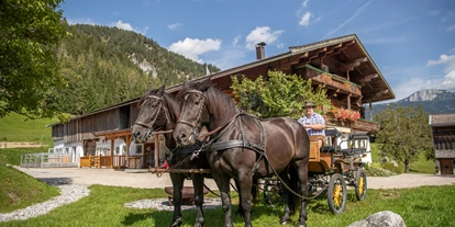 Hüttendorf - PLZ 5672 (Österreich) - Pferdekutschenfahrt zur Hundsbichl Alm - Chalets am Hotel Der Lärchenhof