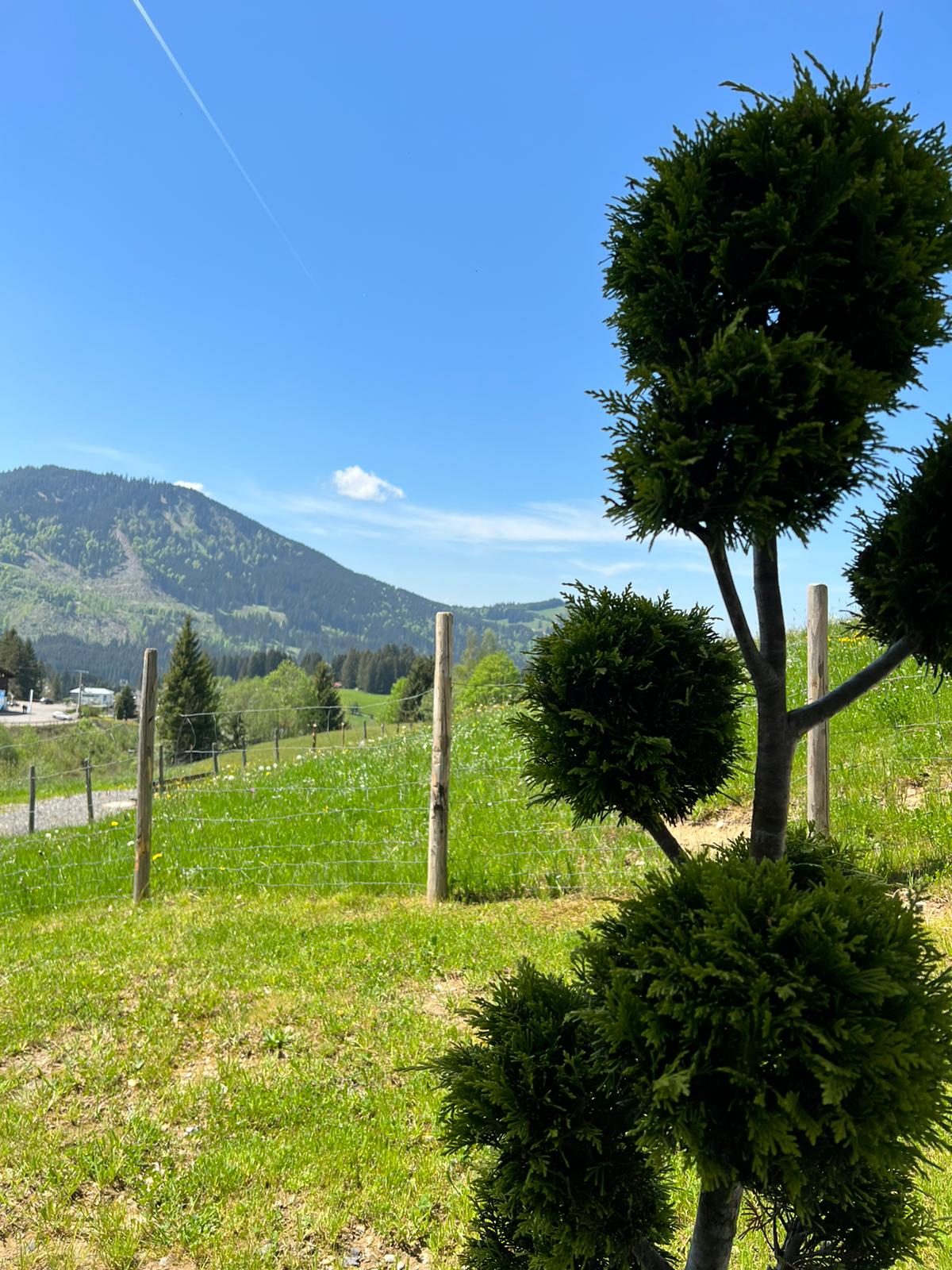 Chalet: Chalet Steinbock