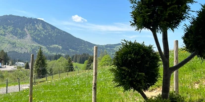 Hüttendorf - Parkplatz direkt an der Hütte - Chalet Steinbock