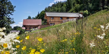 Hüttendorf - Chaletgröße: mehr als 10 Personen - Ausseerland - Salzkammergut - Ferienhäuser Gerhart