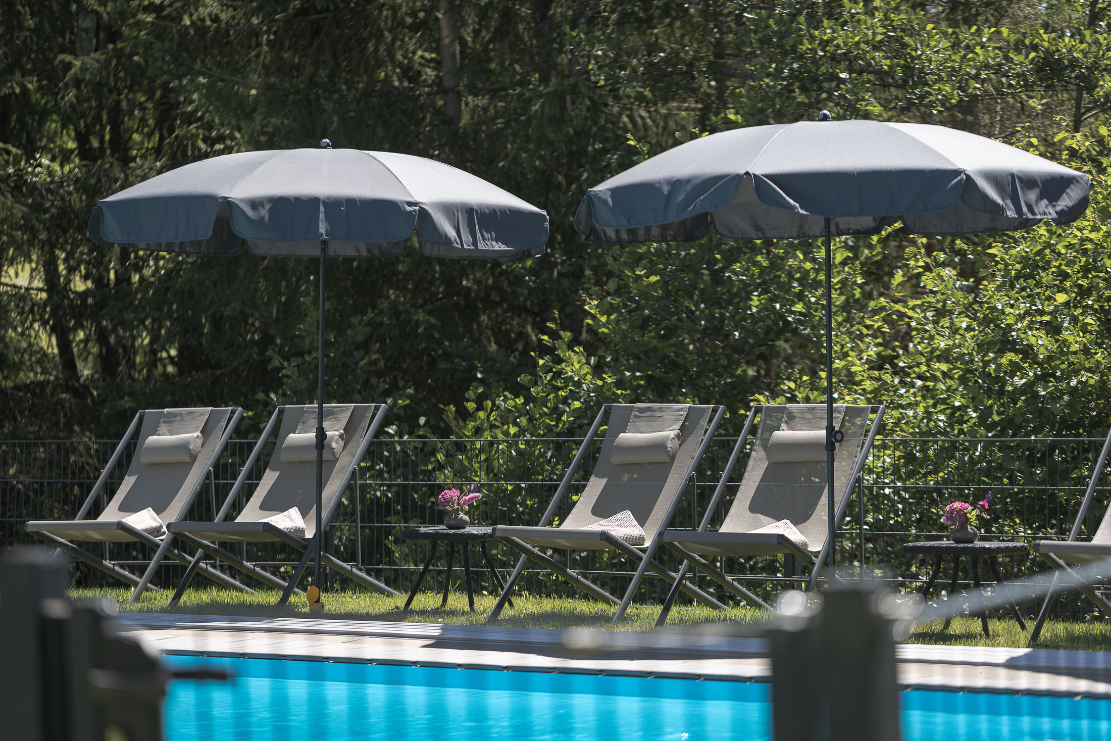 Chalet: Pool - Feriendorf Wallenburg