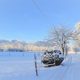 Chalet: Ein wunderbarer Bergblick - auch im Winter - Niederauer Hof Chalets