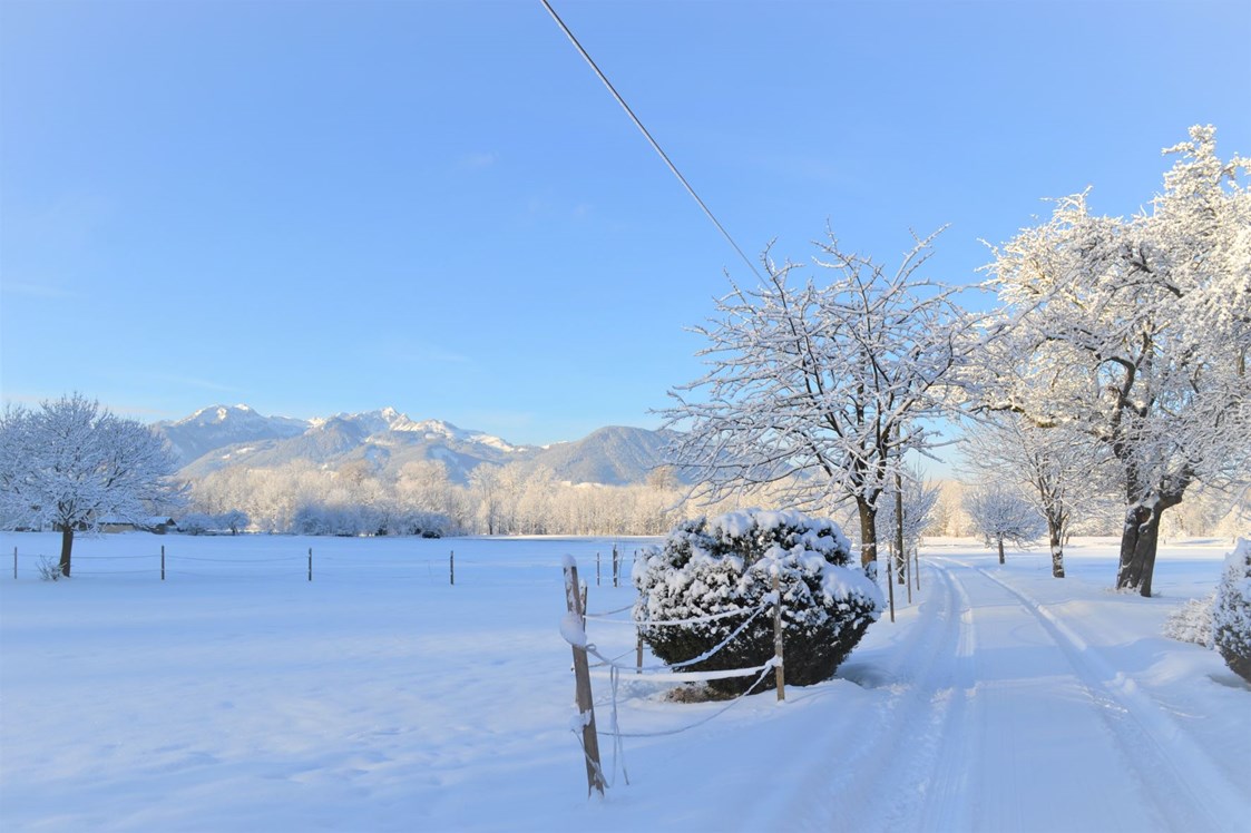 Chalet: Ein wunderbarer Bergblick - auch im Winter - Niederauer Hof Chalets