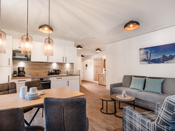 AlpenParks Apartment & Ferienresort Rehrenberg Viehhofen Hütten im Detail Apartment Premium