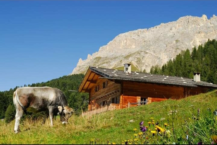 Hüttendorf - Schwerpunkt: Wanderurlaub - Enneberg - Thaleralm