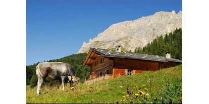 Hüttendorf - Parkplatz direkt an der Hütte - Thaleralm