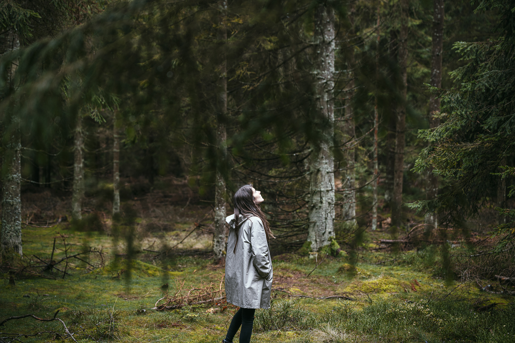 Chalet: Ramenai Böhmerwaldlerdorf | Erholung im Wald - Ramenai - Das Böhmerwaldlerdorf - Umgebung