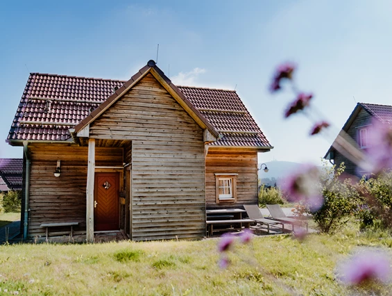 Chalet: Premium Lodge PLUS mit 2 Schlafräumen, Kamin und Sauna. Freistehendes Haus.  - Torfhaus HARZRESORT