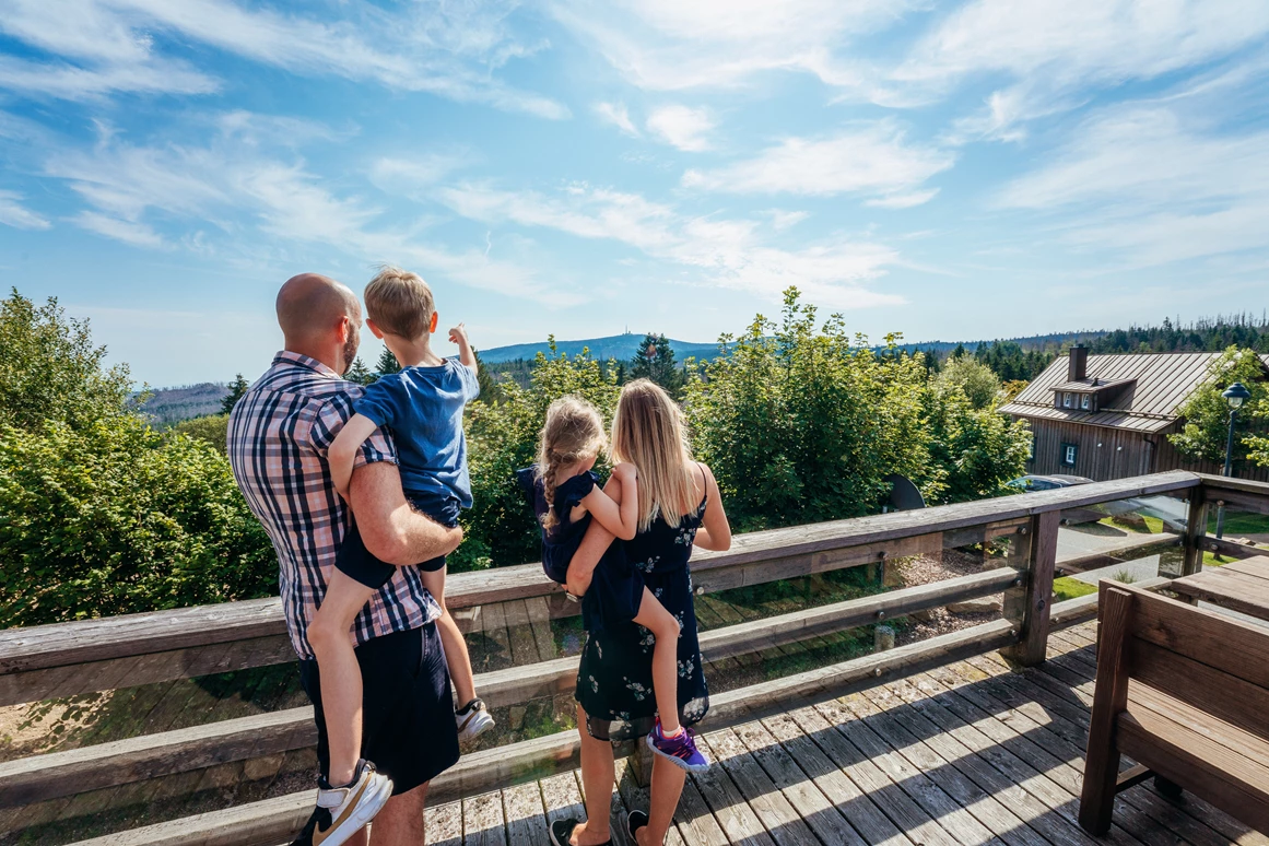 Chalet: Blick auf den Brocken von der Terrasse aus - Torfhaus HARZRESORT