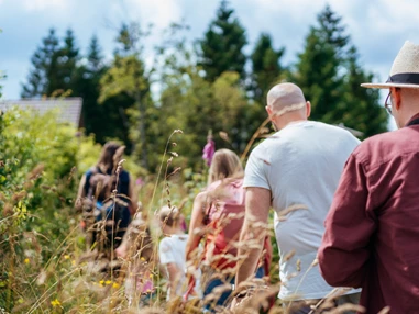 Chalet: Wandern im Nationalpark - Torfhaus HARZRESORT