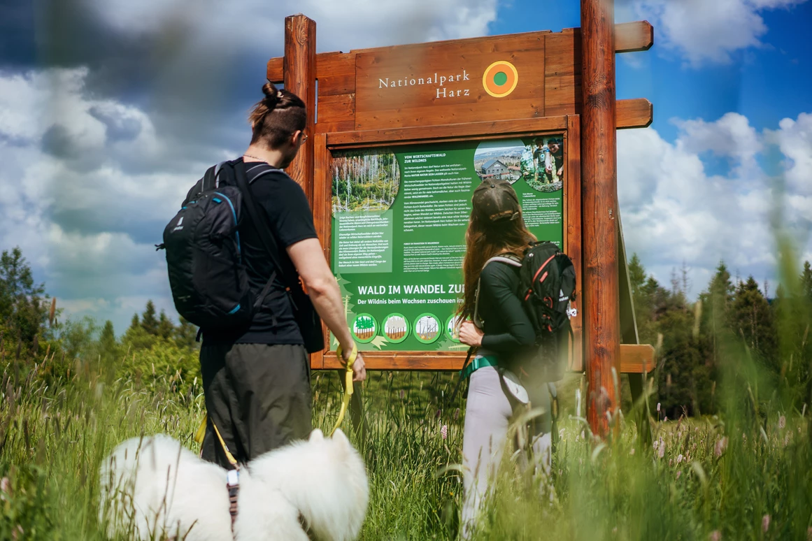 Chalet: Urlaub mit Hund  - Torfhaus HARZRESORT