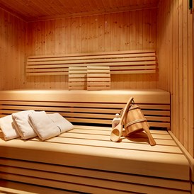 Chalet: private Sauna - Promi Alm Flachau