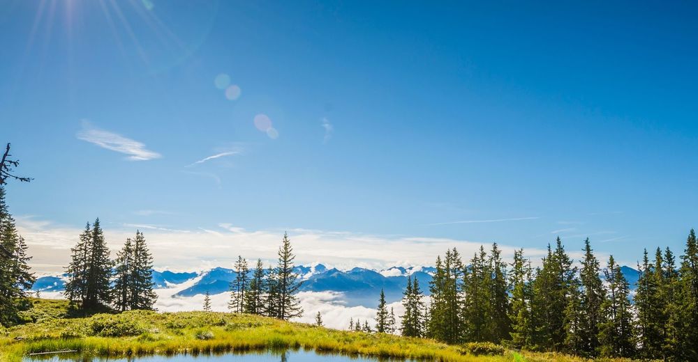 Promi Alm Flachau Ausflugsziele Rossbrand