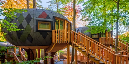 Hüttendorf - PLZ 38871 (Deutschland) - Baumhaus Oktagon - sonnenresort ETTERSHAUS